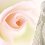 5 características da verdadeira devoção a Maria